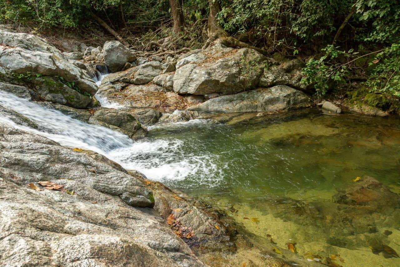 Deep Forest Posadas Ecoturisticas Ель-Зайно Екстер'єр фото
