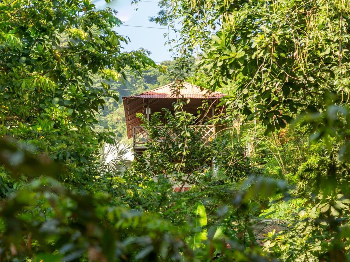 Deep Forest Posadas Ecoturisticas Ель-Зайно Екстер'єр фото